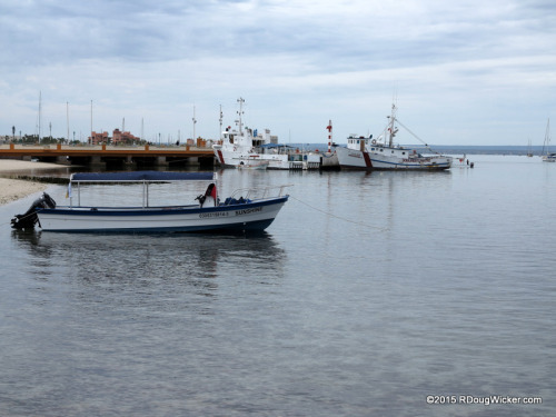 Bay of La Paz