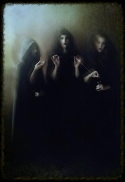  photo d5006614-8ccb-4c36-8866-09acde421758_zpsogzafd8l.jpg