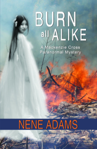 burn all alke cover small