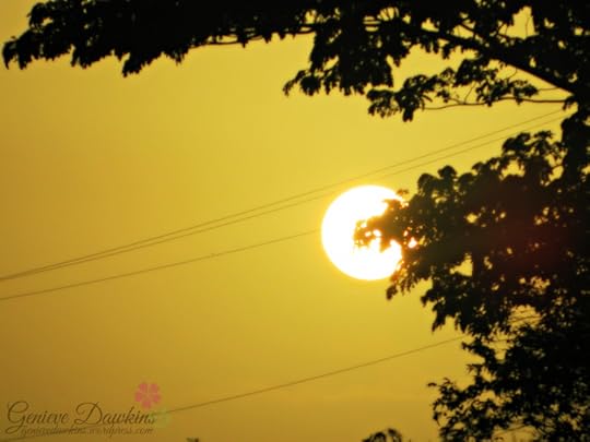Sunrise at Swanswick