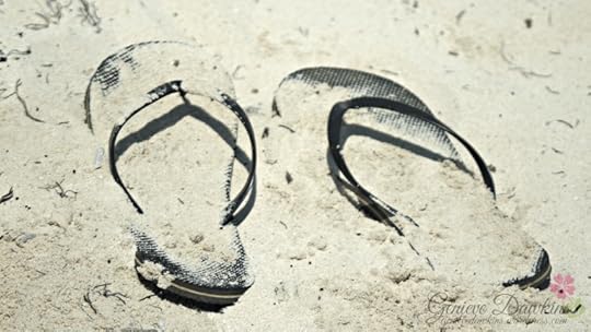 P1040550 beach slippers wm