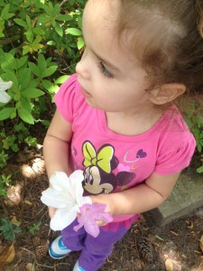 photo4