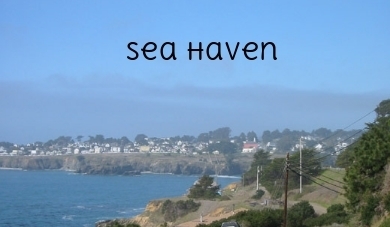 photo mendo1_zpsea9uzhvq.jpg
