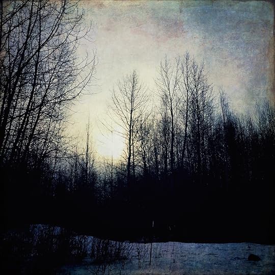 2015-02-28 10.08.52.jpg