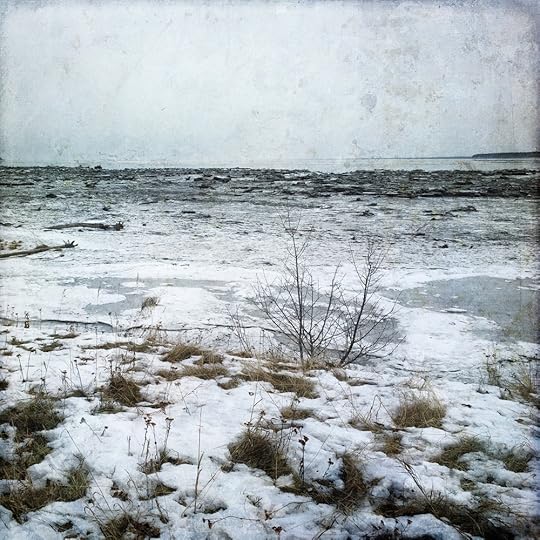 2015-03-01 11.50.23.jpg