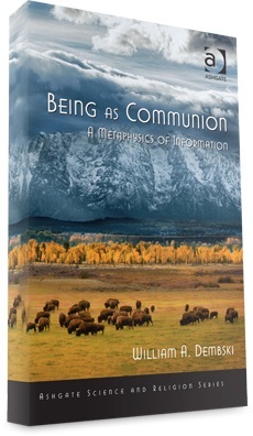 book-being-as-communion-3d.jpg