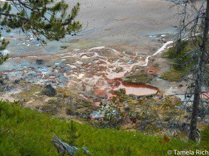 Lots of minerals in the hot springs at Yellowstone