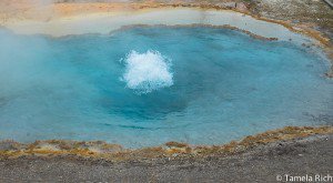 Bubbling to the survace
