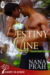 Destiny Mine-coverMed