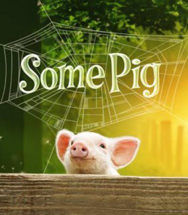 some_pig_large