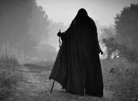 Meet Maybelle Flower