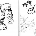 Sheep1