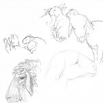 Sheep2