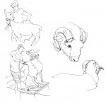 Sheep3