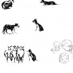Sheep7