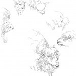 Sheep8
