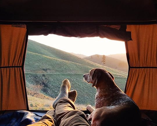 dog-traveling-car-motorcycle-maddie-on-road-3