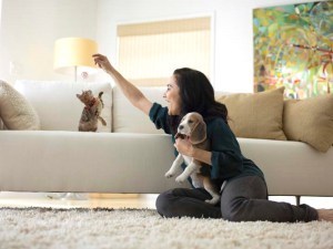 Image Courtesy of Hill's Pet Products
