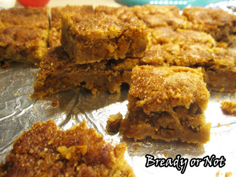 Snickerdoodle Blondies