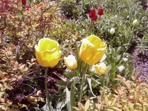 2015-05-05 14.31.39
