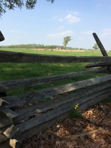 Higher ground beyond the fence.