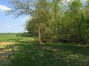 Beyond the first fence line, heading for the second. this is probably where Jefferson was shot. One side is field and the other is woods. If you look being the ridge, you can see the top of the Seminary.