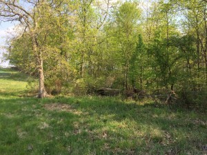 You can see here, a bit, how the land slopes down toward the woods. This is where Jefferson lay, undetected for at least three days, blend, with both eyes gone.