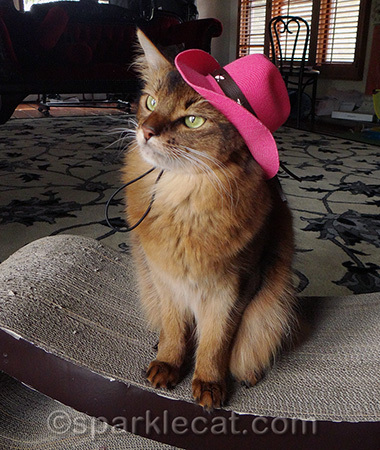 I almost look like a real cattle wrangler! Maybe those doggies had better watch out