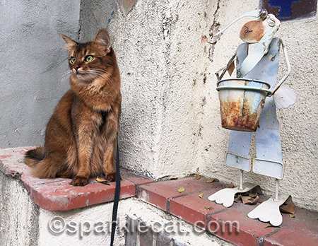 I hear there used to be a cat one... but one of the blog's readers got it!