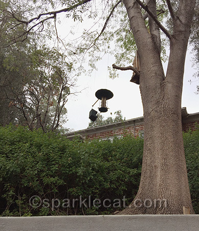 This must explain the bird poop on the bricks