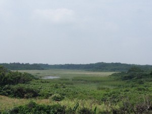 IMG_6290