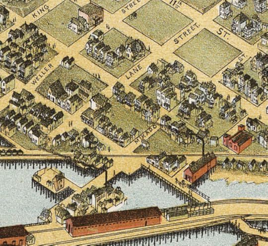 Close-Up of Mikado Street 1891 Koch Bird's Eye