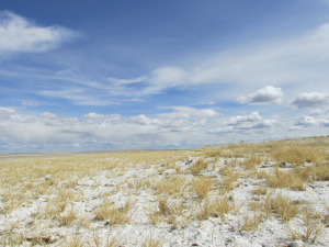 Big Lake, aka Big Dry, Molt, MT