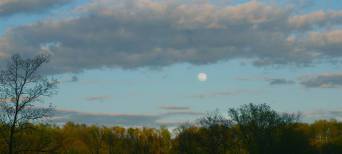 May Moon Ann E. Michael