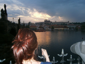 OLYMPUS DIGITAL CAMERA