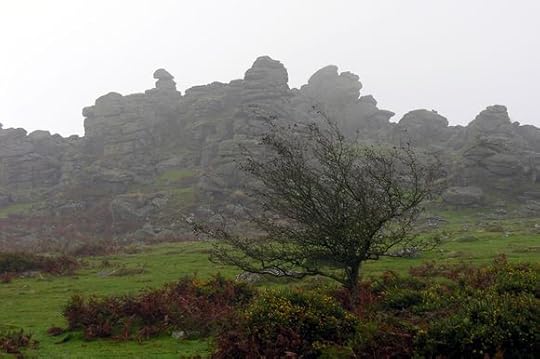 Hound Tor, Dartmoor (Wiki Commons photograph)