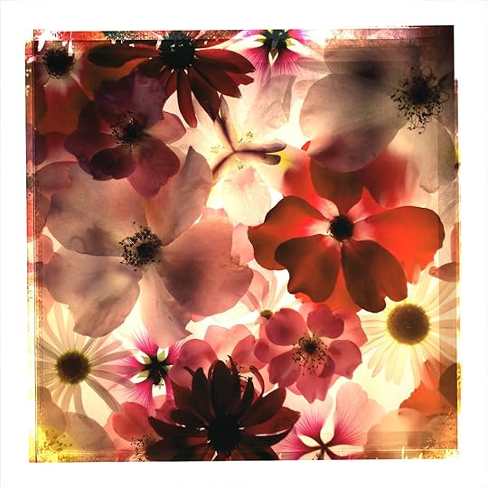 Floral square © Harold Davis