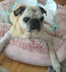Hey, what's all the fuss?