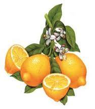lemon
