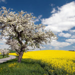 Riverton Road Series