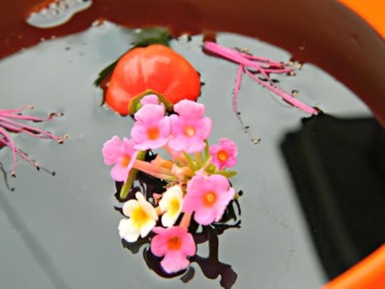 Enveloped in Molasses