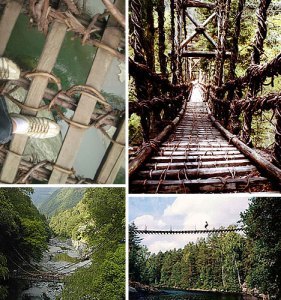 vinebridges