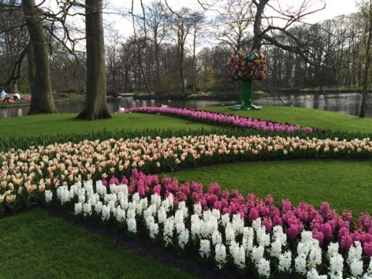 Keukenhof