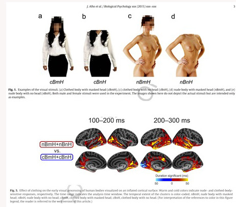 body-brain-study