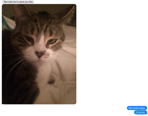 Screen Shot 2015-05-18 at 1.49.09 PM