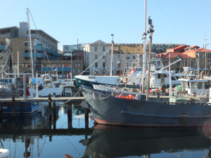 Fishing boats & a tourist ship filled with enthusiastic Amercian tourists.