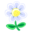 White F