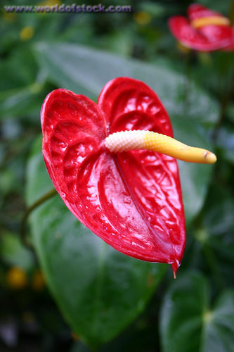 Houston commercial photography