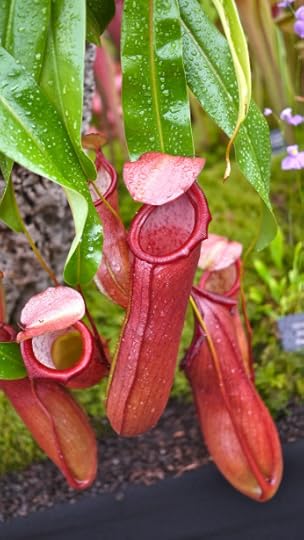 Houston commercial photography