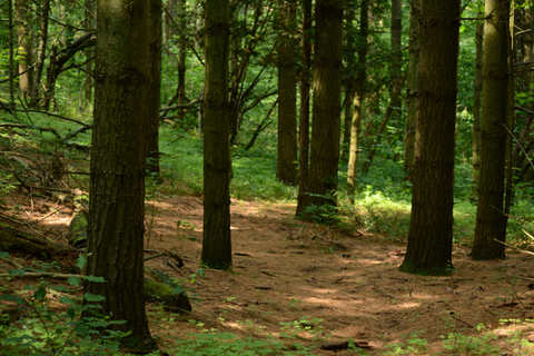 Photo: Good things are growing in Ontario's greenbelt